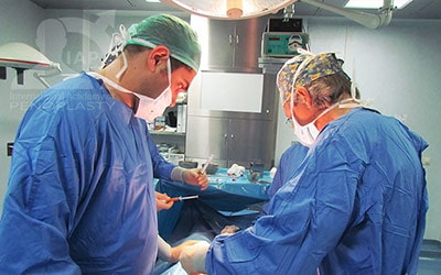 Master Course in Penoplasty, Photo Gallery