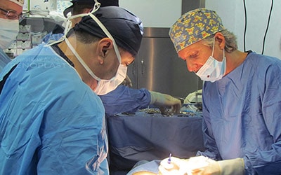 Master Course in Penoplasty, Photo Gallery