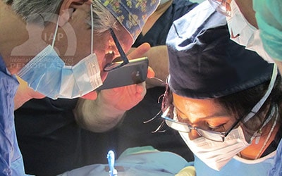 Master Course in Penoplasty, Photo Gallery