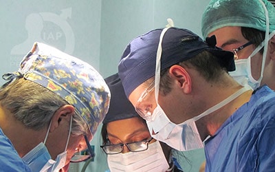 Master Course in Penoplasty, Photo Gallery