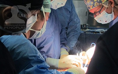 Master Course in Penoplasty, Photo Gallery