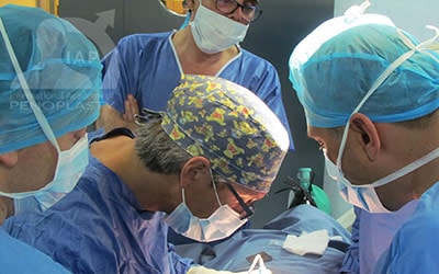 Master Course in Penoplasty, Photo Gallery